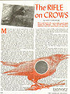 The rifle of crows